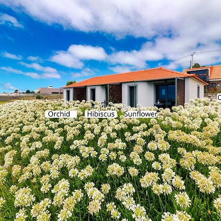 Ourmadeira - Quinta Inacia, Countryside Escape Apartment Calheta  Exterior photo